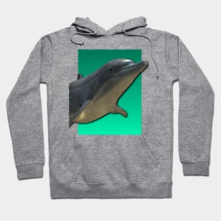 Tropical Dolphin Hoodie